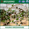 High Quality Agriculture Greenhouse Vertical Hydroponic Growing Systems