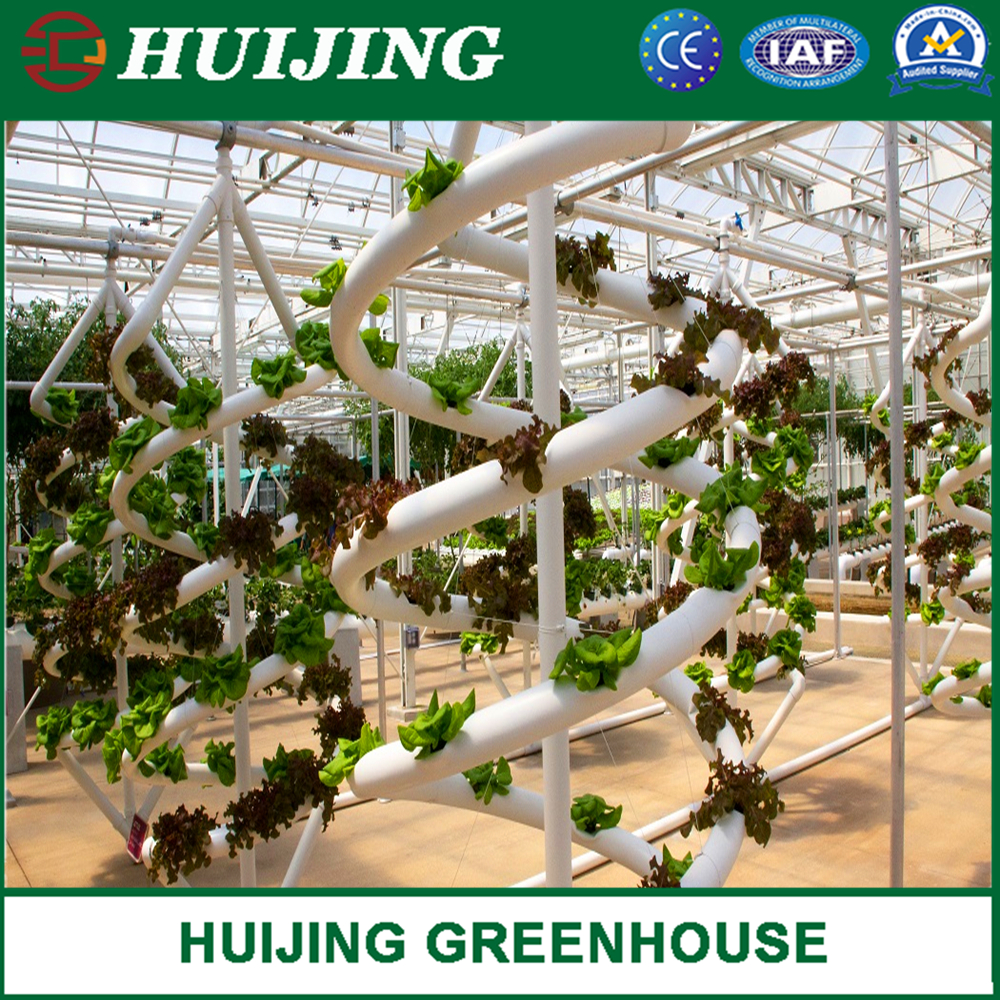 Vertical PVC Trough Hydroponic Strawberry Growing Systems in Greenhouse