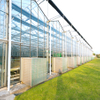 Dutch Venlo Glass Greenhouse Materials & Systems for Sale