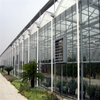 Greenhouse with Cheap Cooling System Multi-span Agricultural Hydroponic Greenhouse for Vegetables/flowers/fruits/garden/tomato/crop/corn