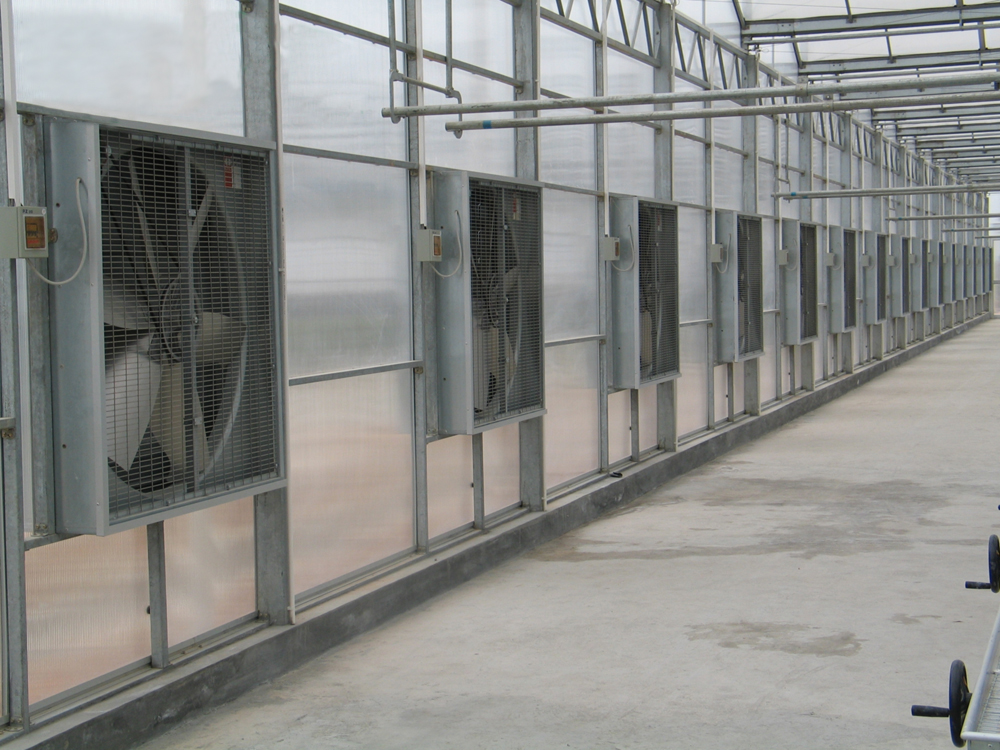 Greenhouse Cooling System on cooling pad with exhaust fans
