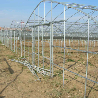 Greenhouse GI Steel Structure with Long Service Life