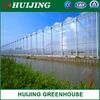 Polycarbonate Greenhouse Hydroponics System for Vegetables/Flowers/Fruit