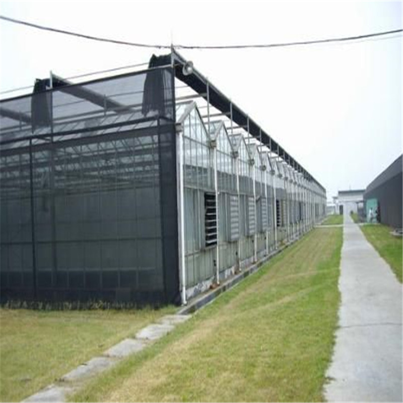 Commercial Multi-span Agricultural Hydroponic greenhouse inside shade System Greenhouse for Vegetables/flowers/fruits/garden/tomato/crop/corn