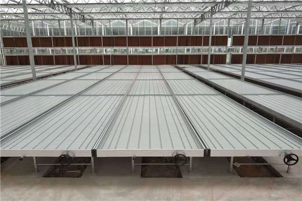Galvanized Steel Frame Greenhouse Rolling Bench Plant Nursery