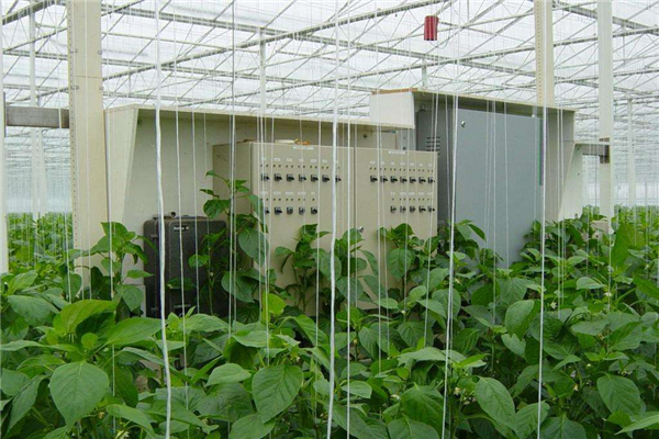 Hot Selling Greenhouse Intelligent Control System