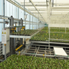Automated Greenhouse Environment Control System for Temperature, Humidity, CO2 Controlling And Monitoring 