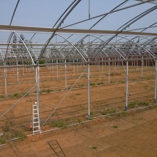 Steel galvanized pipe greenhouse structure for greenhouse Buy Product