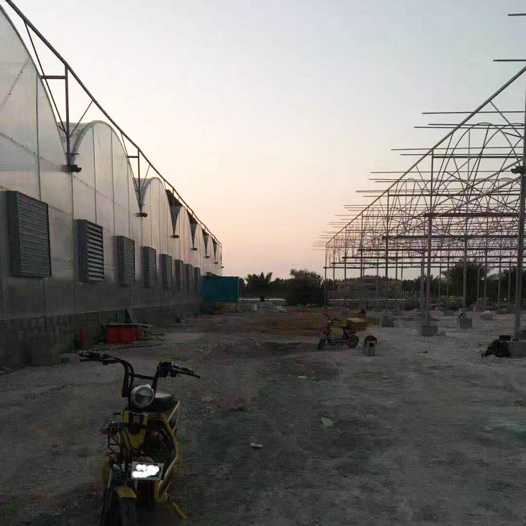 Multispan Polycarbonate Greenhouse in Qatar HUIJING GREENHOUSE