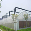 Venlo Hydroponic greenhouse with high quality outside shade System Multi-span Agricultural Greenhouse for Vegetables/flowers/fruits/garden/tomato/crop/corn
