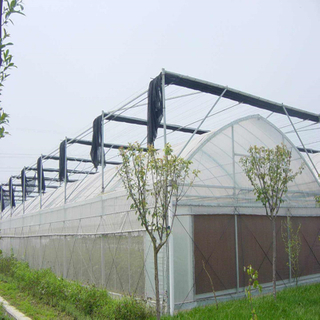 Agricultural Hydroponic greenhouse with high quality outside shade System Multi-span Greenhouse for Vegetables/flowers/fruits/garden/tomato/crop/corn
