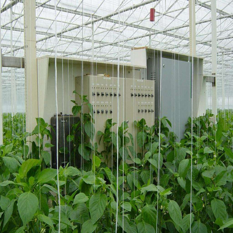 Automated Greenhouse Environment Control System Venlo Greenhouse Agricultural Greenhouse for Vegetables/flowers/fruits/garden/tomato/crop/corn