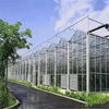 Multi-span Glass Venlo Hydroponic Polycarbonate Agricultural Greenhouse for Vegetables/flowers/fruits/garden/tomato/crop/corn with high quality