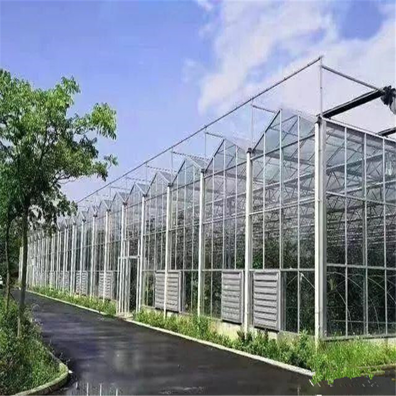 Cheap price Multi-span Glass Venlo Hydroponic Polycarbonate Agricultural Greenhouse for Vegetables/flowers/fruits/garden/tomato/crop/corn