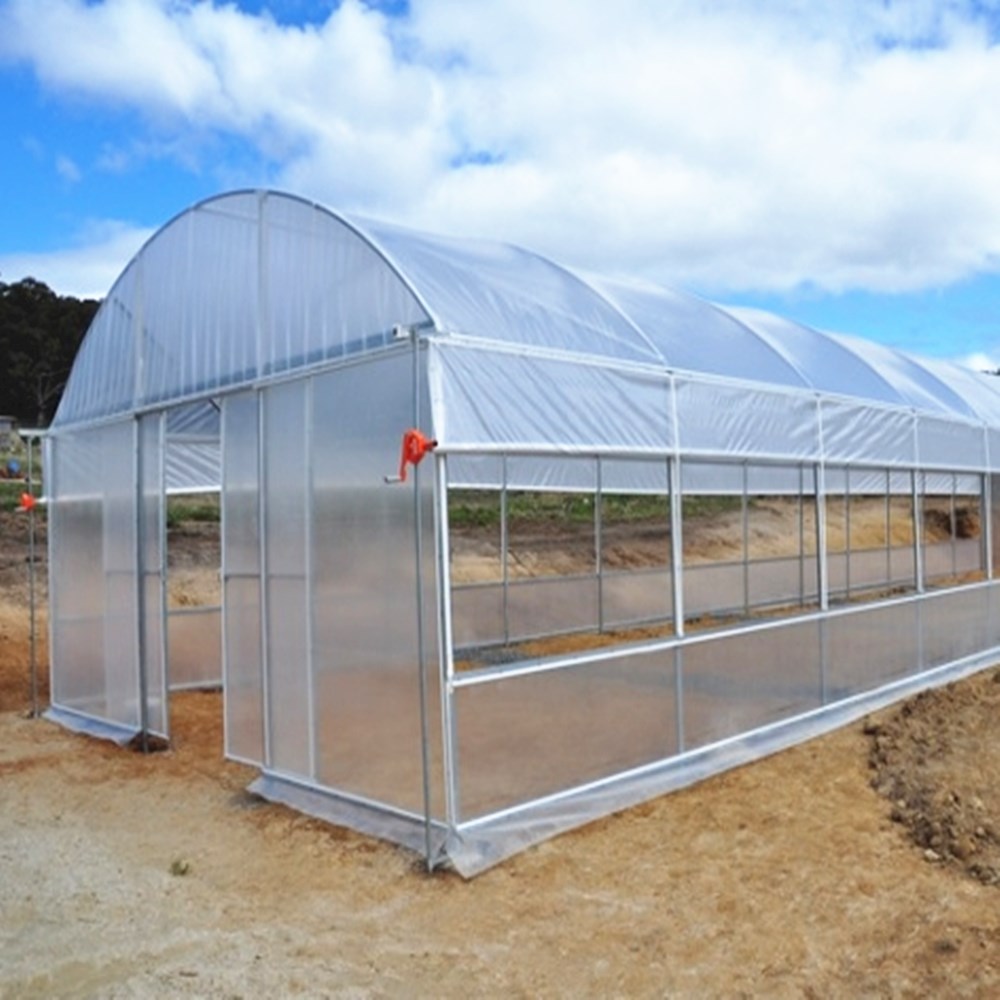 Professional Invernadero Single-span Plastic Film Tunnel Greenhouse for Vegetables 
