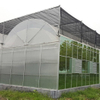 Single-Span Garden Greenhouse for Agriculture