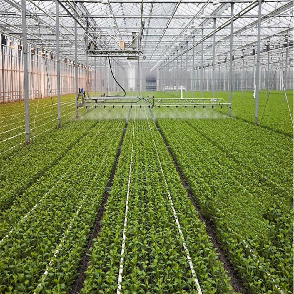 Professional large multispan smart automatic control commercial